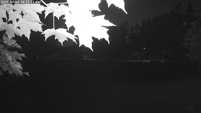 time-lapse frame, Arrowhead Park webcam