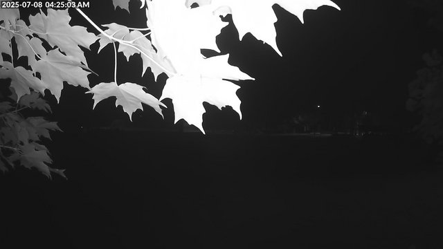 Arrowhead Park animated GIF
