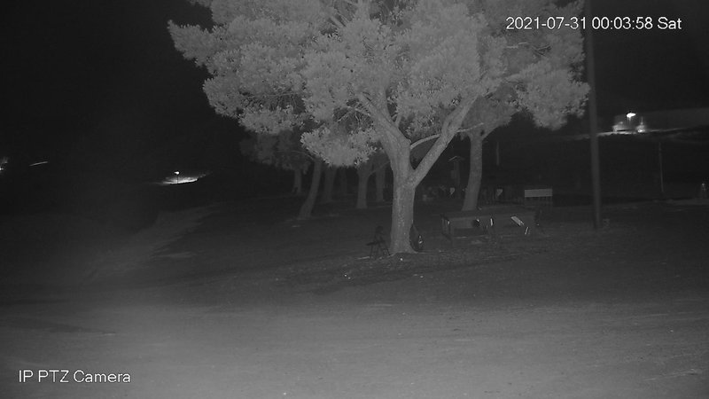 time-lapse frame, Canyon Crosswinds webcam