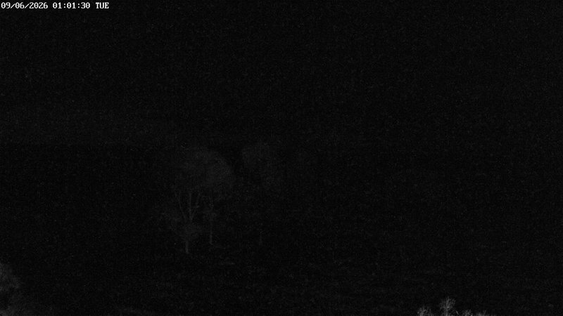 time-lapse frame, North West webcam