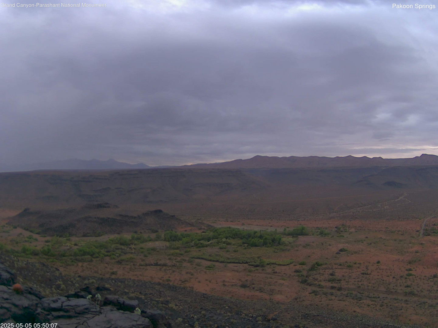 time-lapse frame, Pakoon Springs webcam