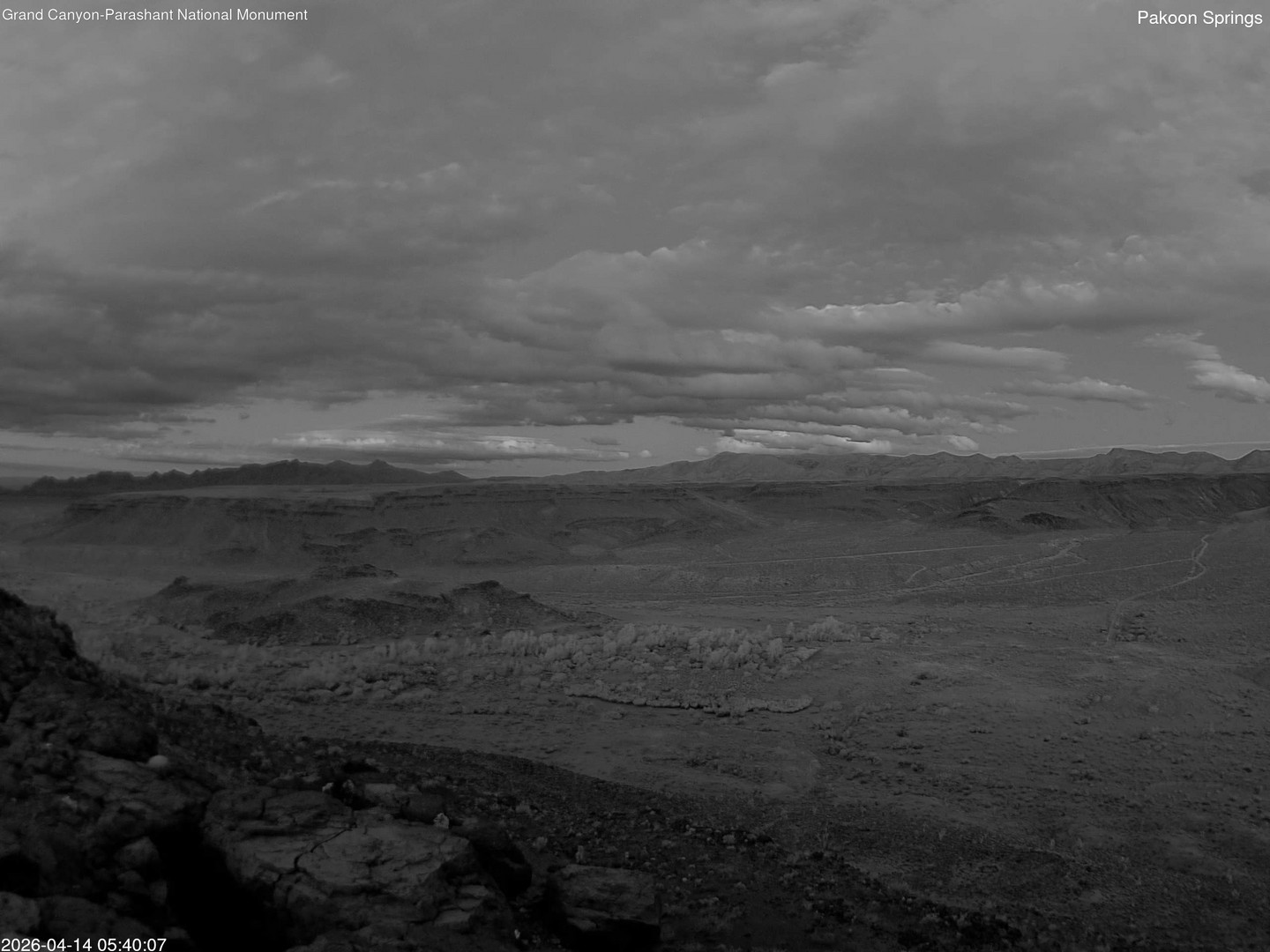 time-lapse frame, Pakoon Springs webcam