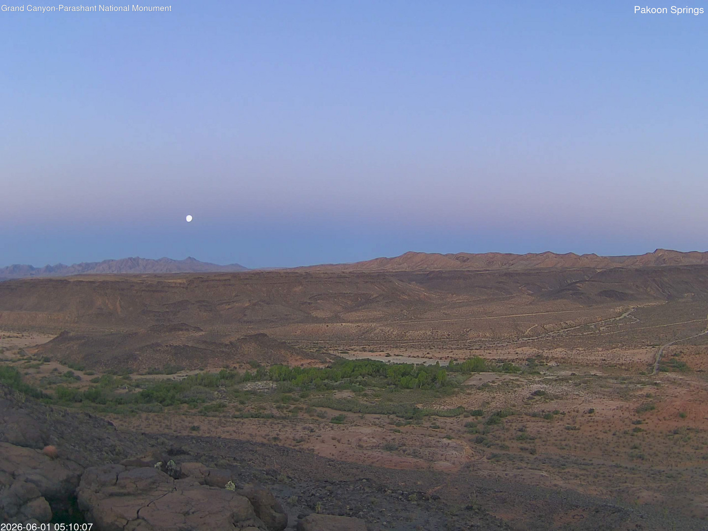 time-lapse frame, Pakoon Springs webcam