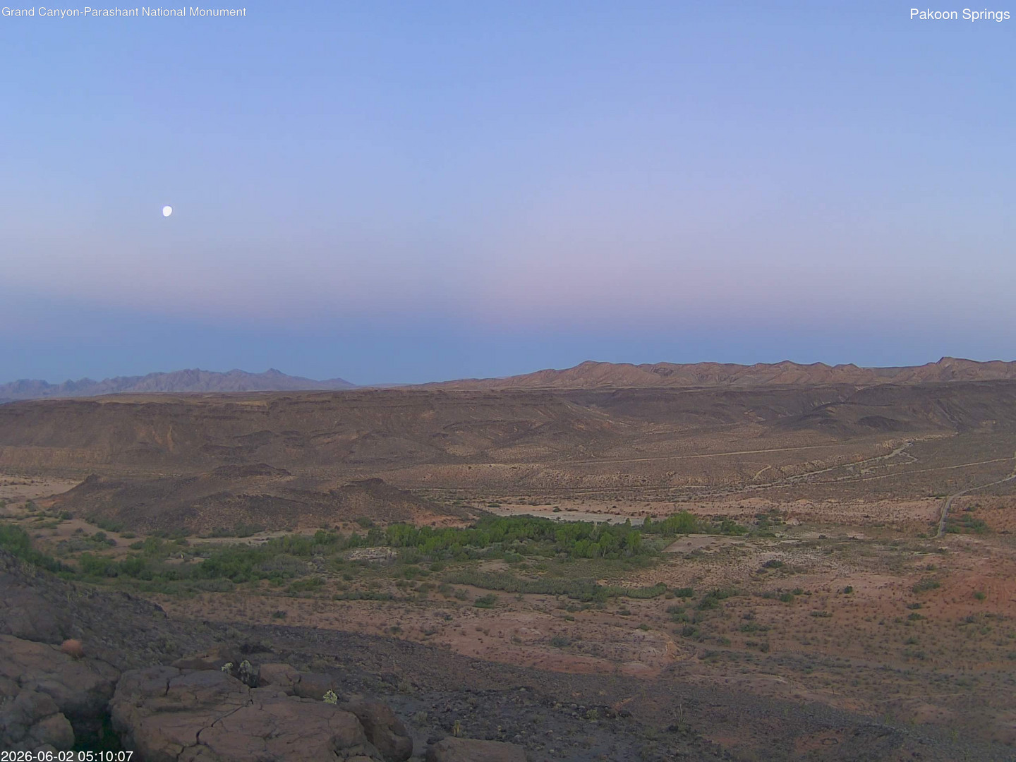 time-lapse frame, Pakoon Springs webcam