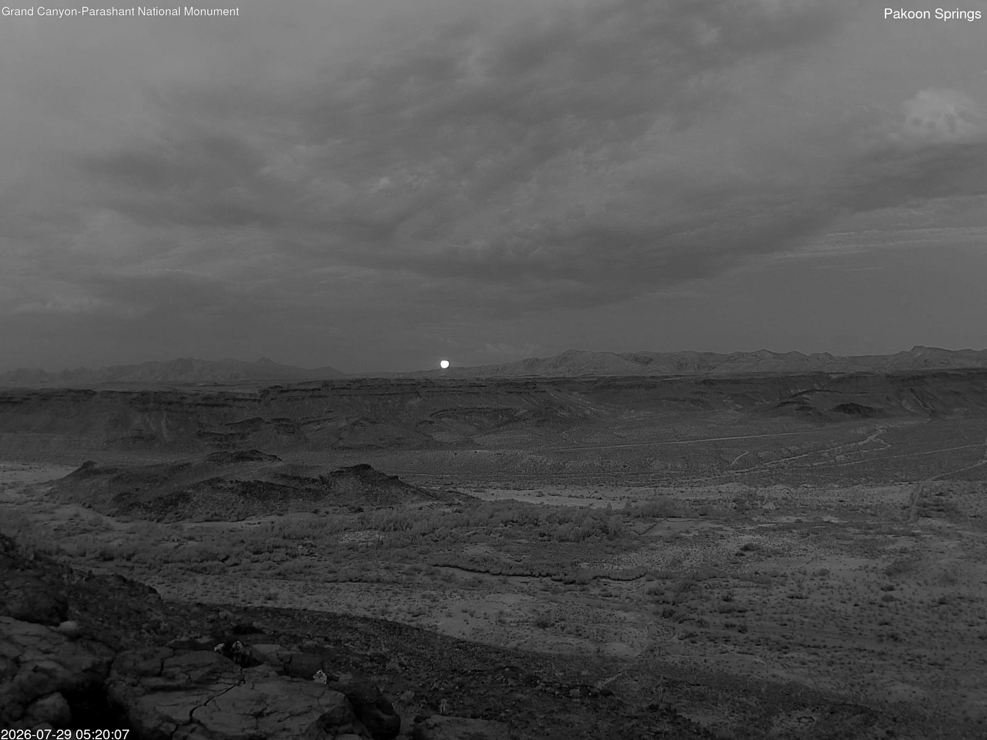 time-lapse frame, Pakoon Springs webcam