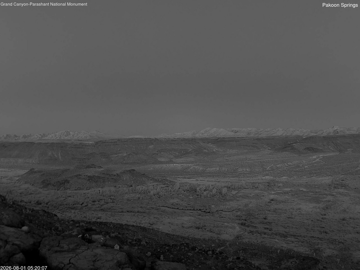 time-lapse frame, Pakoon Springs webcam