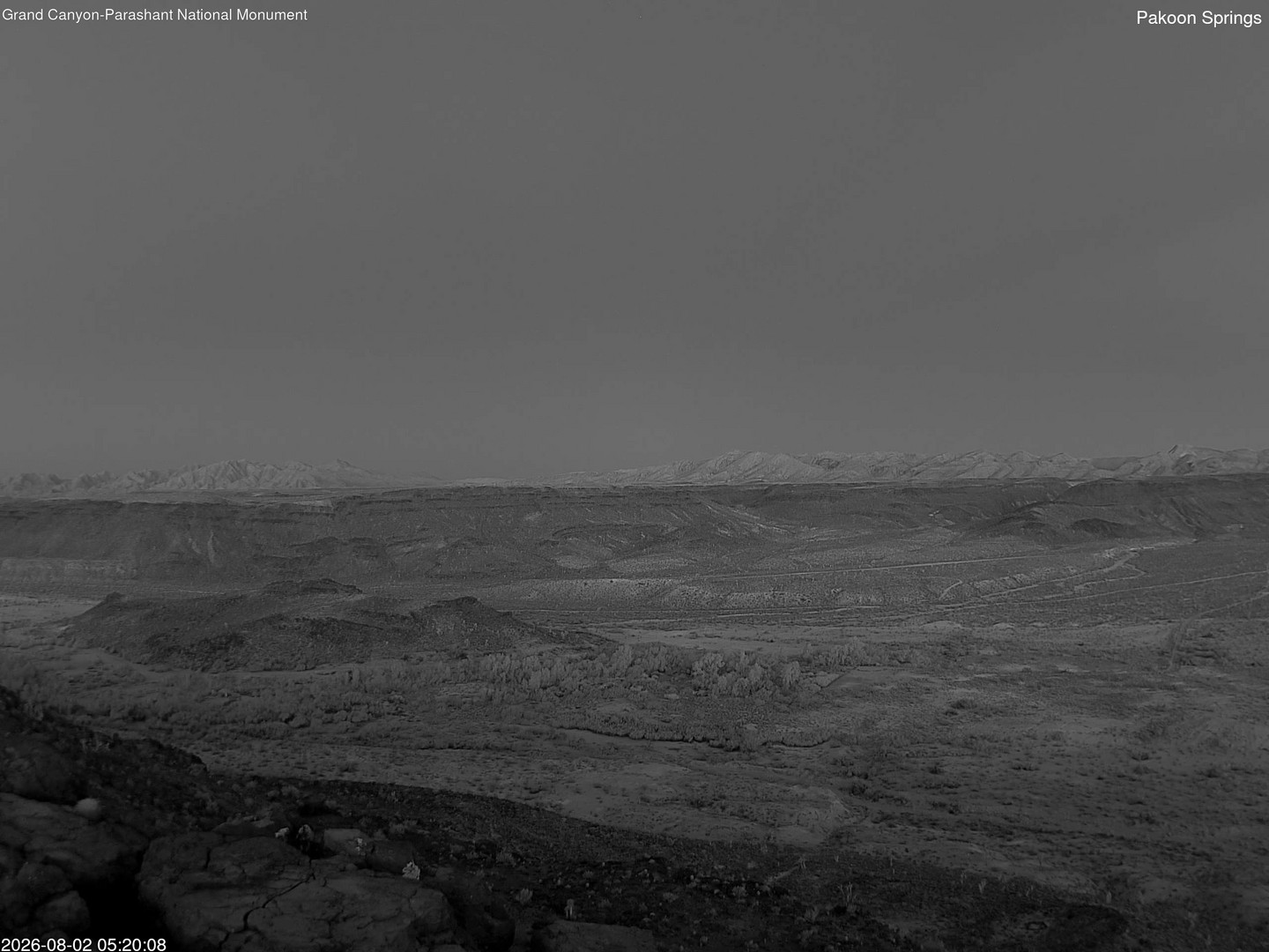 time-lapse frame, Pakoon Springs webcam