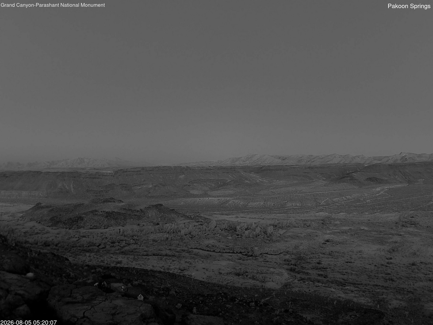 time-lapse frame, Pakoon Springs webcam