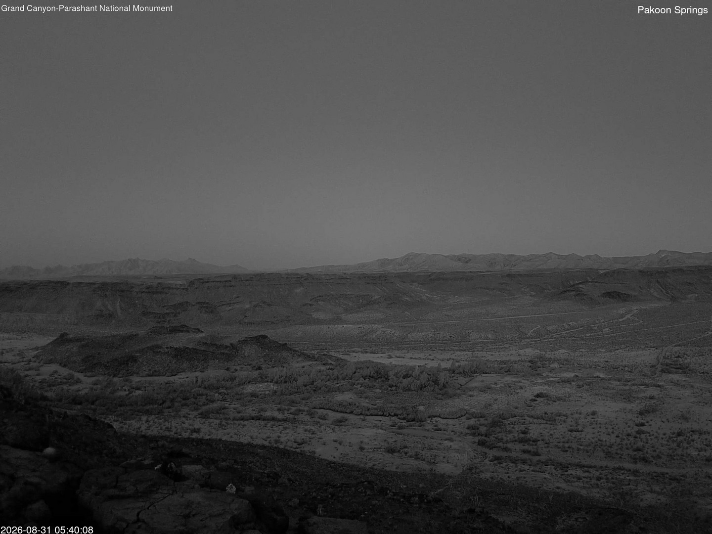 time-lapse frame, Pakoon Springs webcam