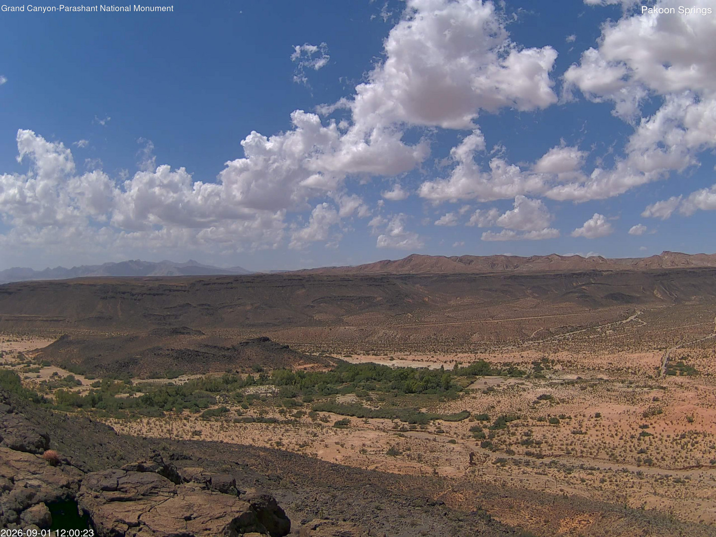 view from Pakoon Springs on 2026-09-01