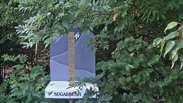 view from Sugarbush Mid-Mountain Snow Stake on 2026-08-28