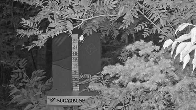 time-lapse frame, Sugarbush Mid-Mountain Snow Stake webcam