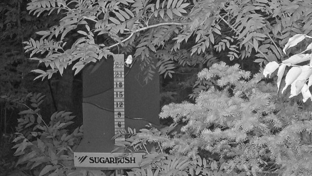 time-lapse frame, Sugarbush Mid-Mountain Snow Stake webcam