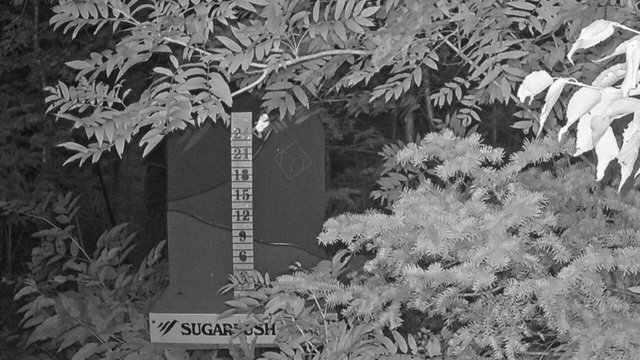 time-lapse frame, Sugarbush Mid-Mountain Snow Stake webcam
