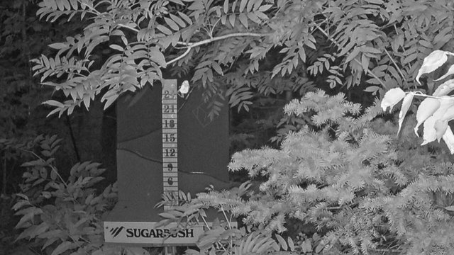 time-lapse frame, Sugarbush Mid-Mountain Snow Stake webcam