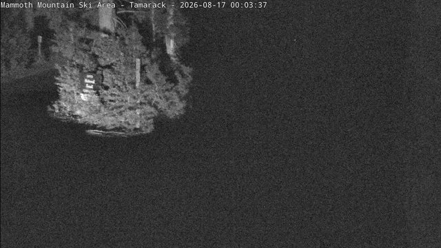 time-lapse frame, Mammoth Tamarack Lodge webcam