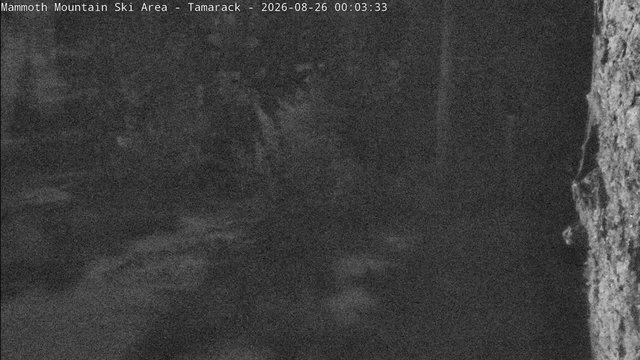time-lapse frame, Mammoth Tamarack Lodge webcam