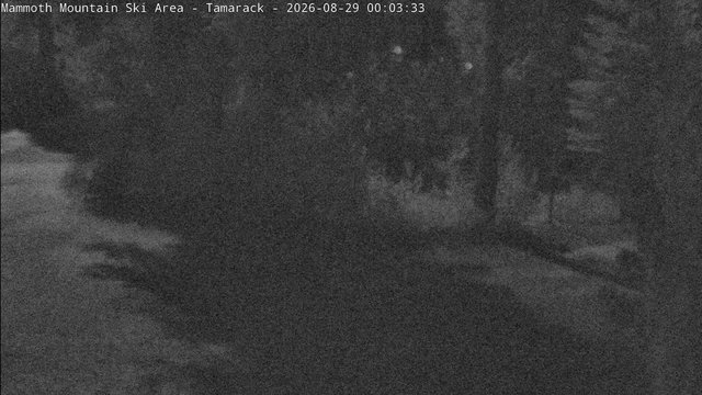 time-lapse frame, Mammoth Tamarack Lodge webcam
