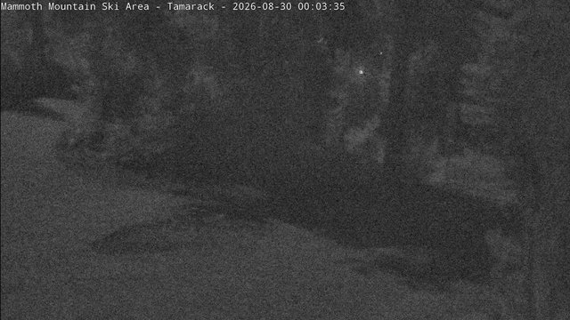 time-lapse frame, Mammoth Tamarack Lodge webcam