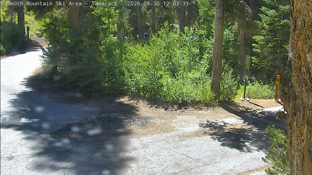 view from Mammoth Tamarack Lodge on 2026-08-30