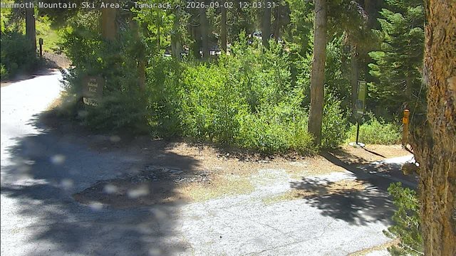 view from Mammoth Tamarack Lodge on 2026-09-02