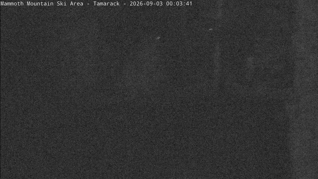 time-lapse frame, Mammoth Tamarack Lodge webcam