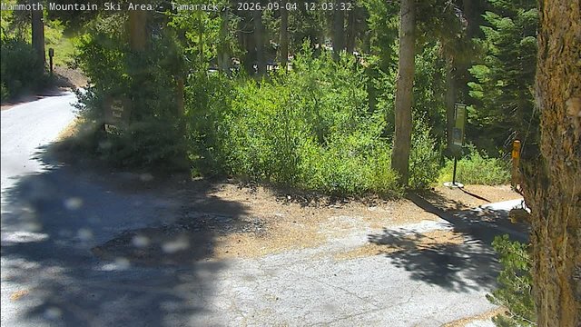 view from Mammoth Tamarack Lodge on 2026-09-04