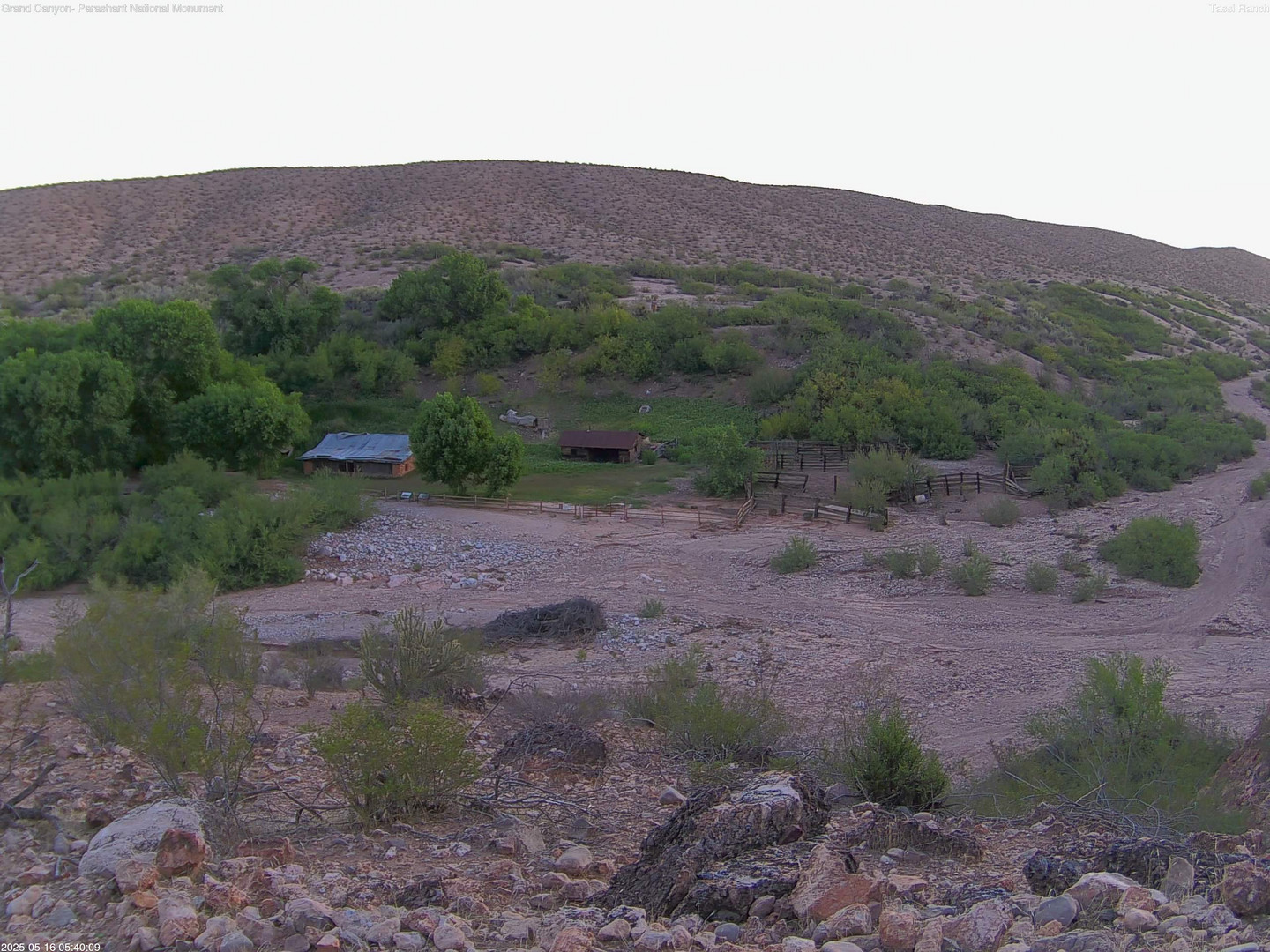 time-lapse frame, Tassi Ranch webcam