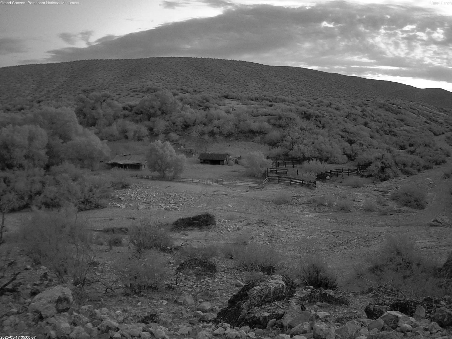 time-lapse frame, Tassi Ranch webcam