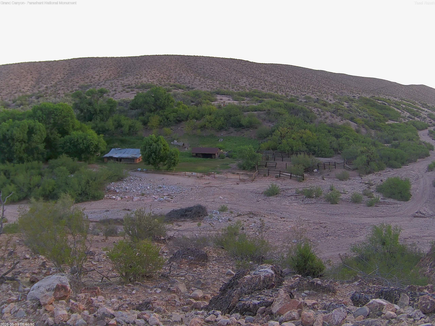 time-lapse frame, Tassi Ranch webcam