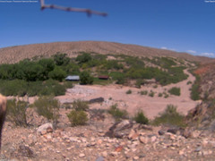 view from Tassi Ranch on 2025-05-25