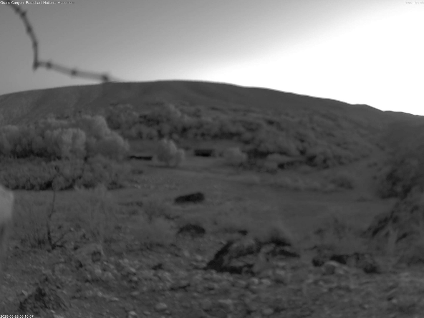 time-lapse frame, Tassi Ranch webcam