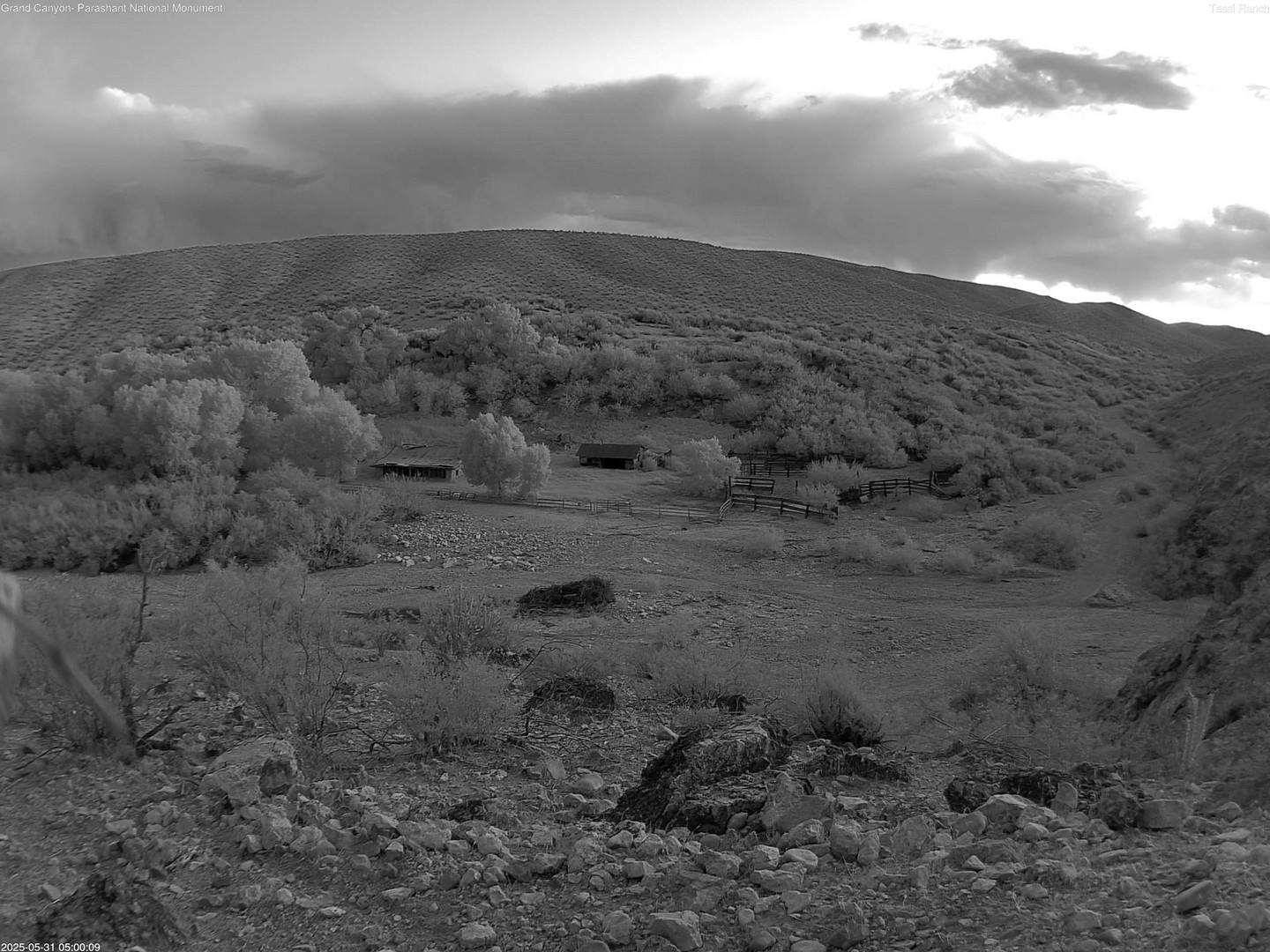 time-lapse frame, Tassi Ranch webcam