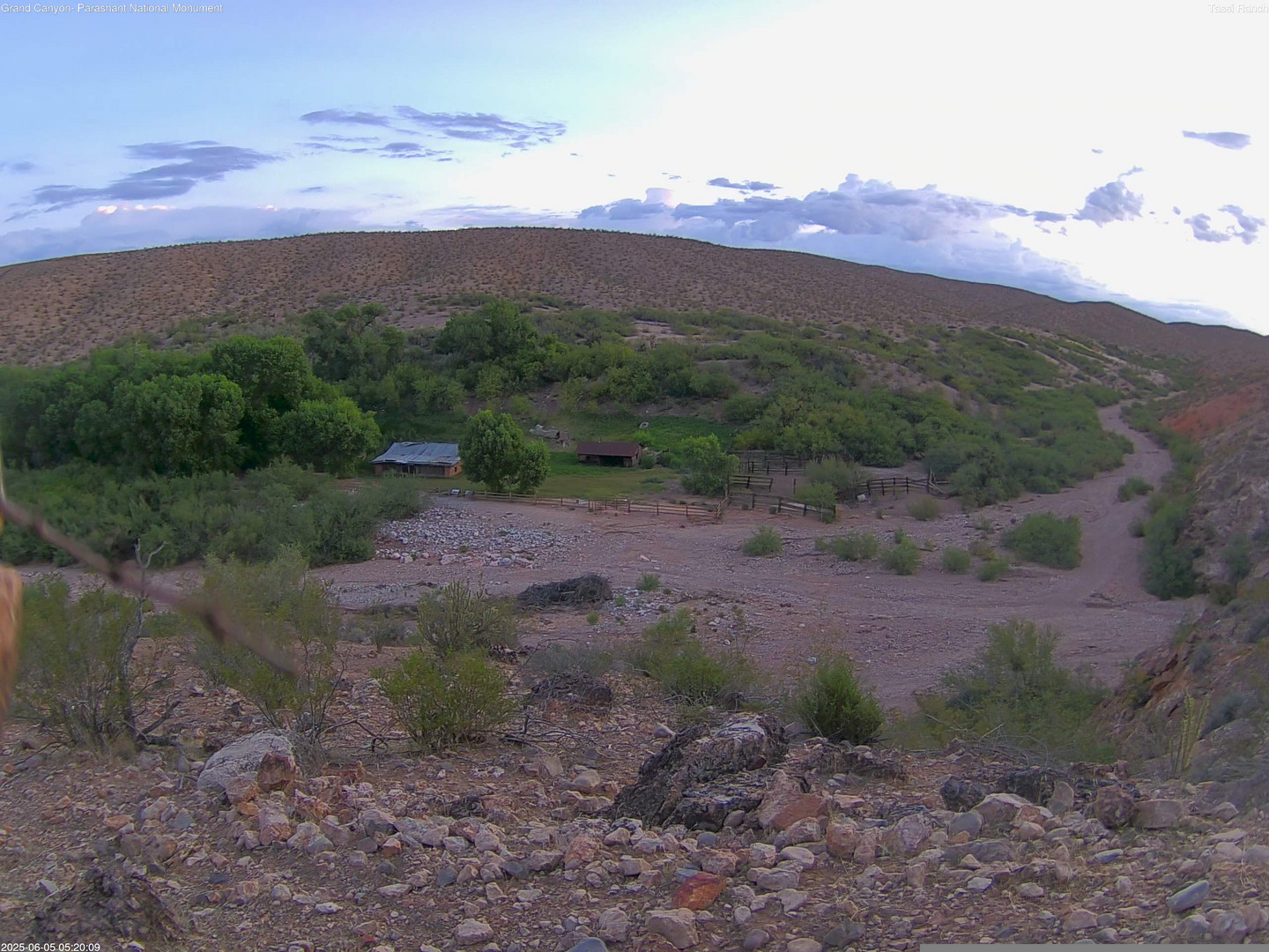 time-lapse frame, Tassi Ranch webcam