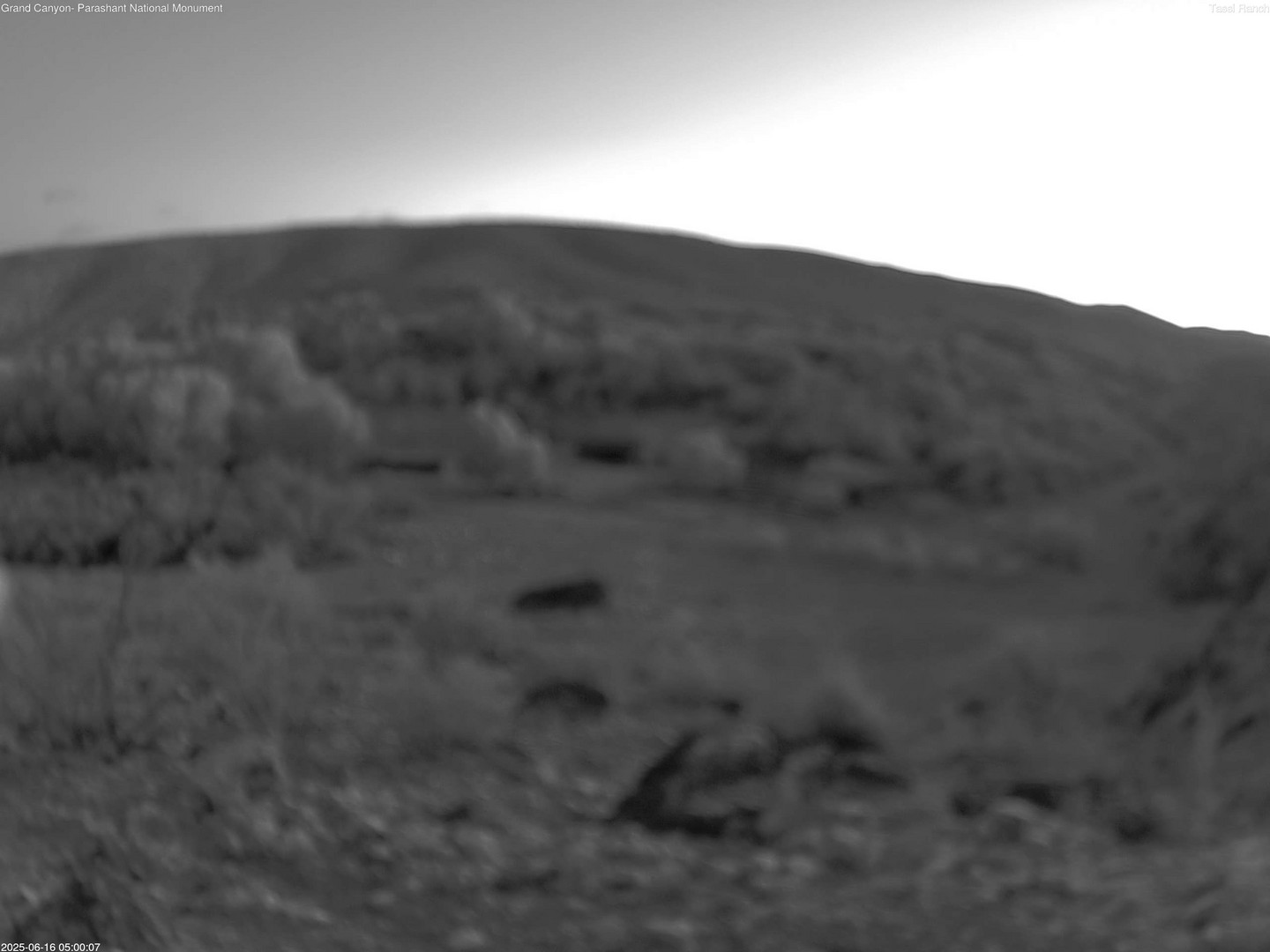 time-lapse frame, Tassi Ranch webcam