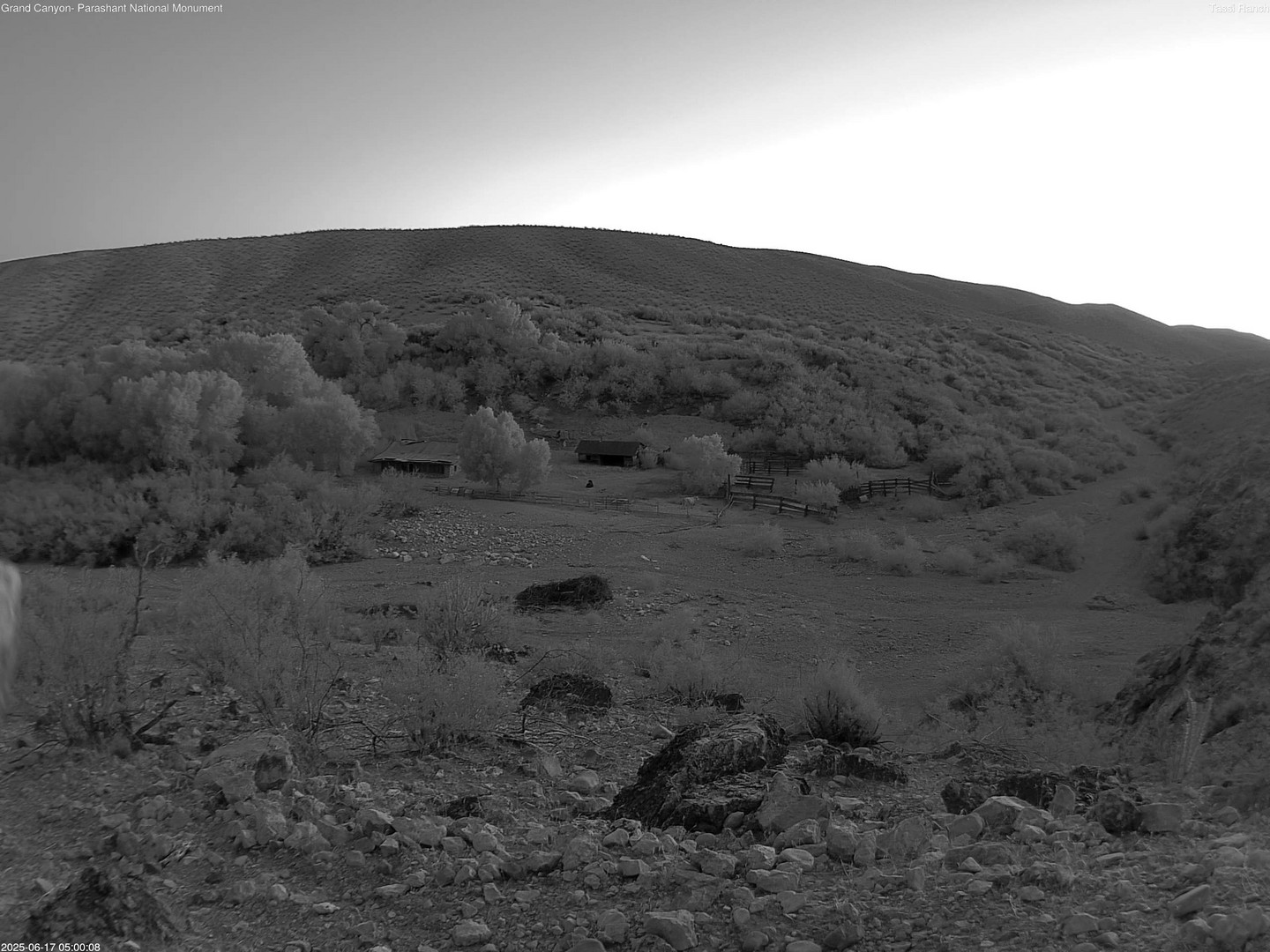 time-lapse frame, Tassi Ranch webcam