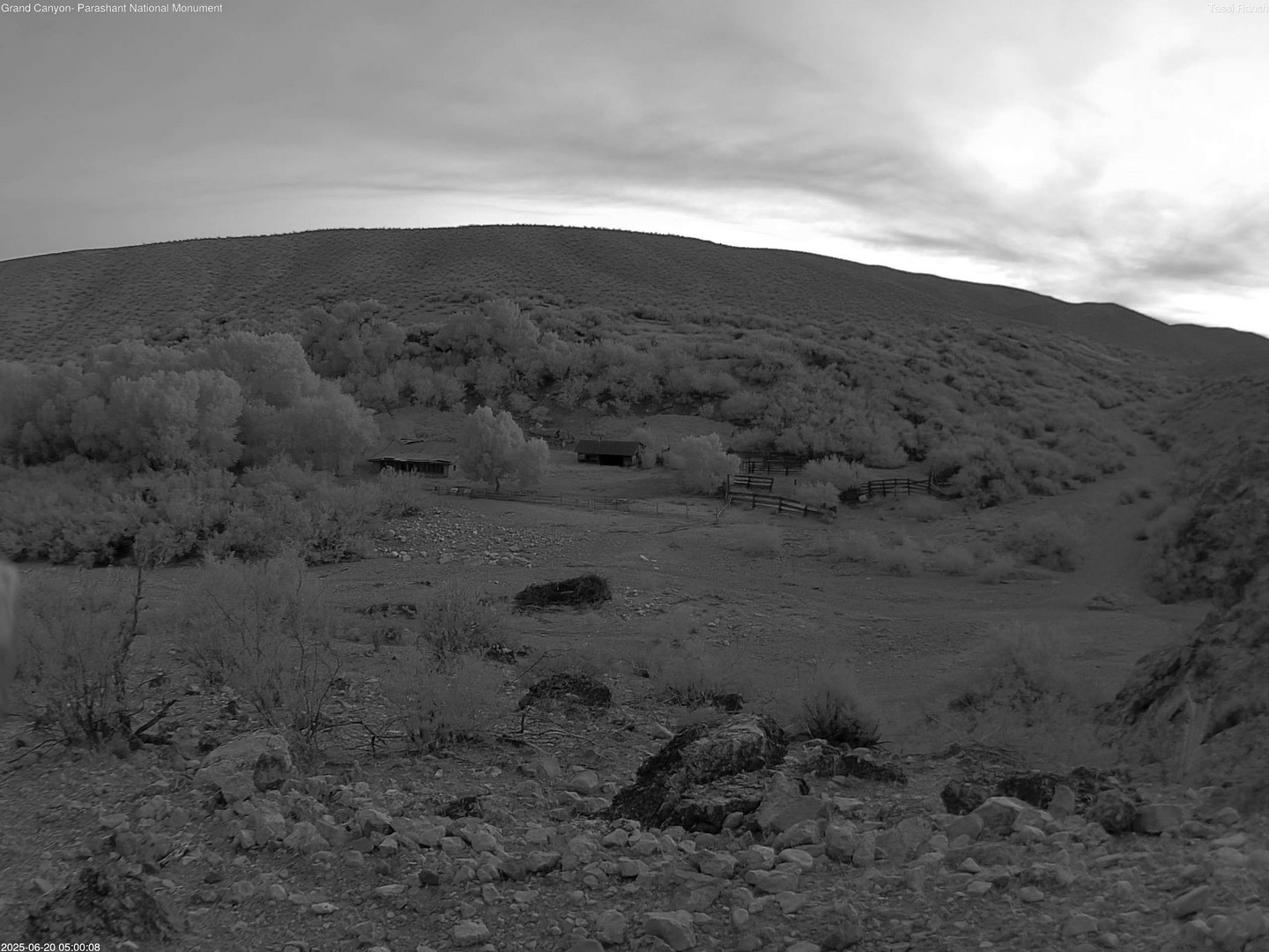 time-lapse frame, Tassi Ranch webcam