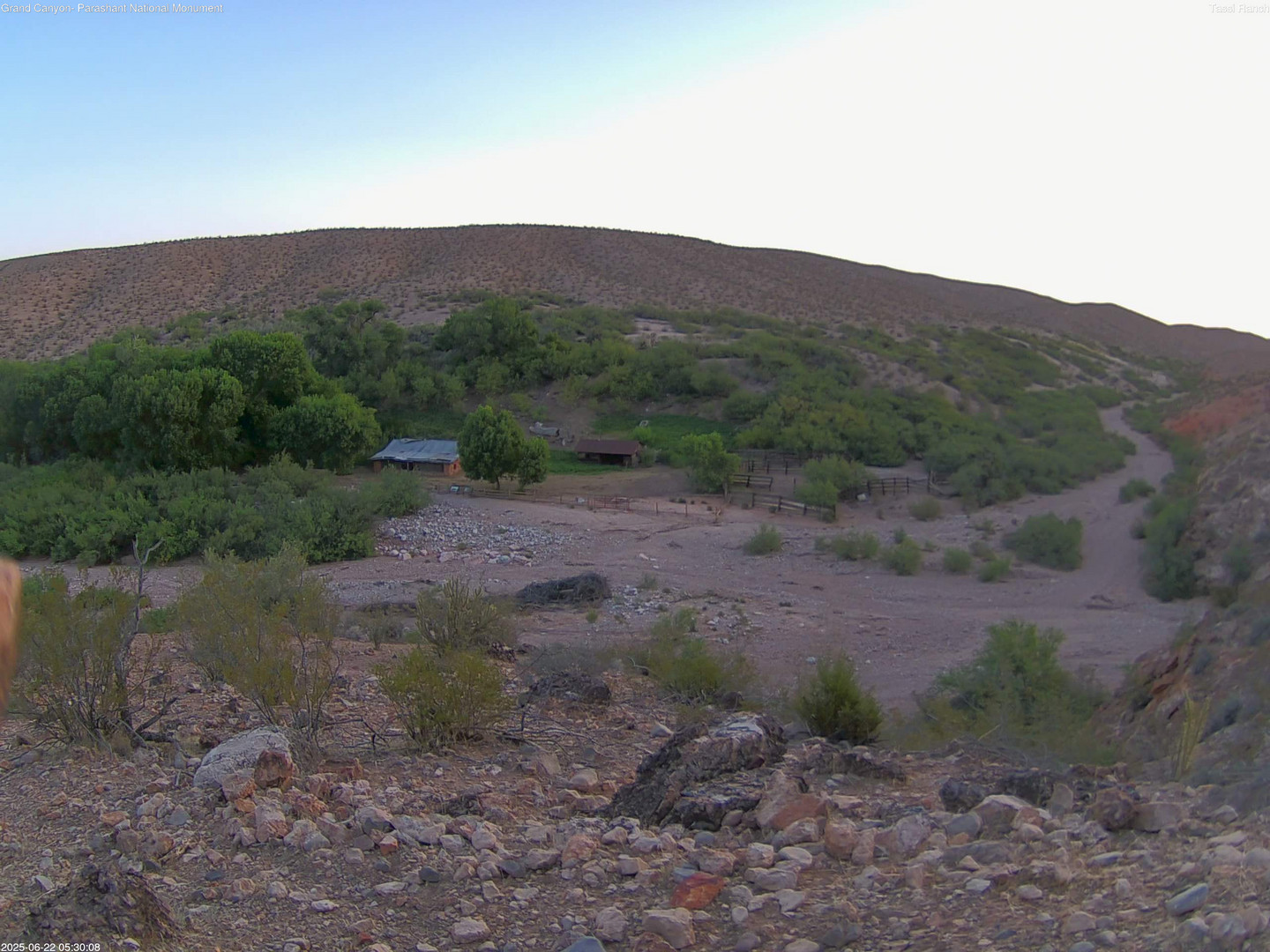 time-lapse frame, Tassi Ranch webcam