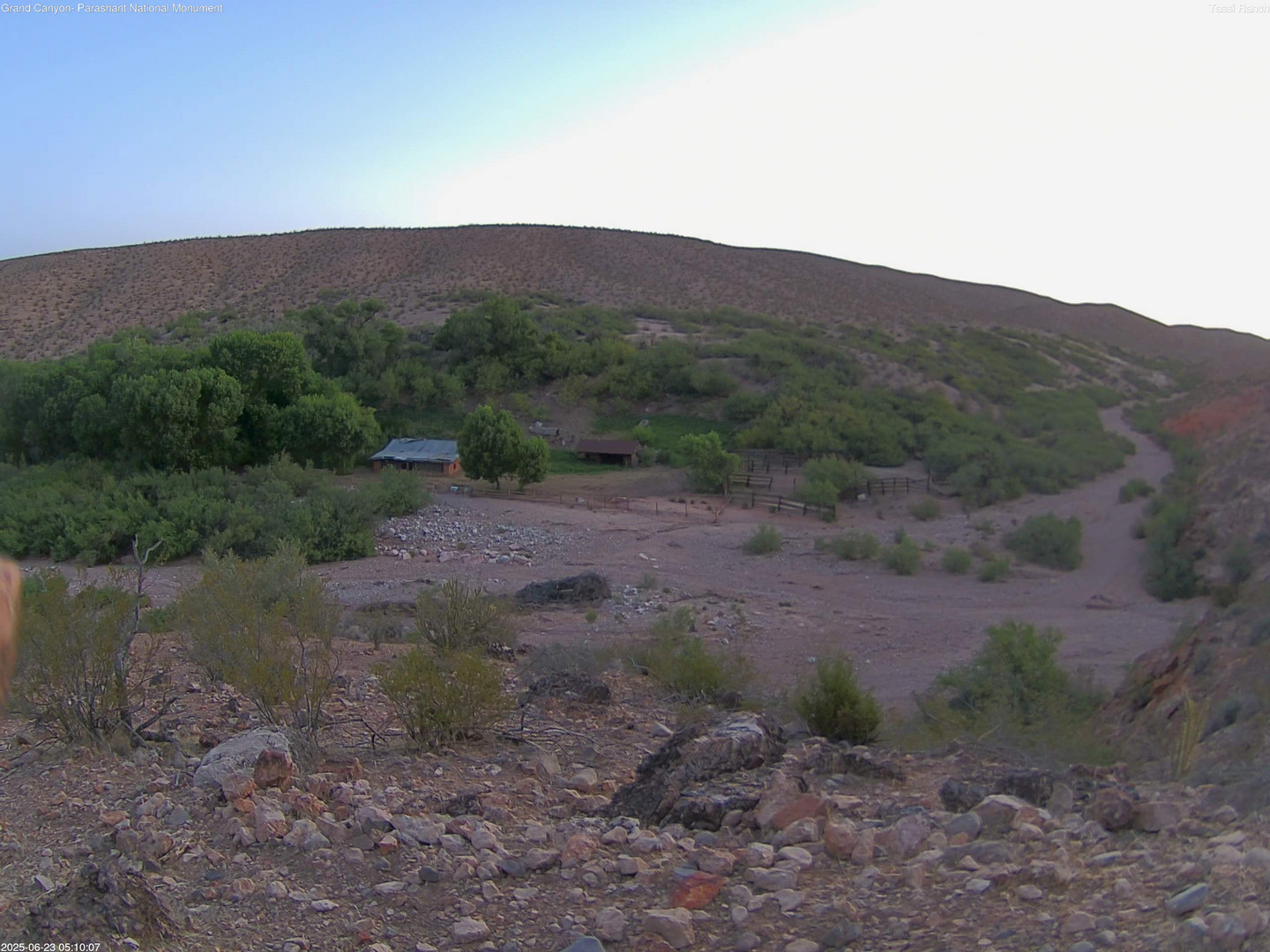 time-lapse frame, Tassi Ranch webcam