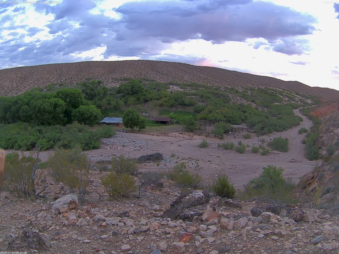 time-lapse frame, Tassi Ranch webcam