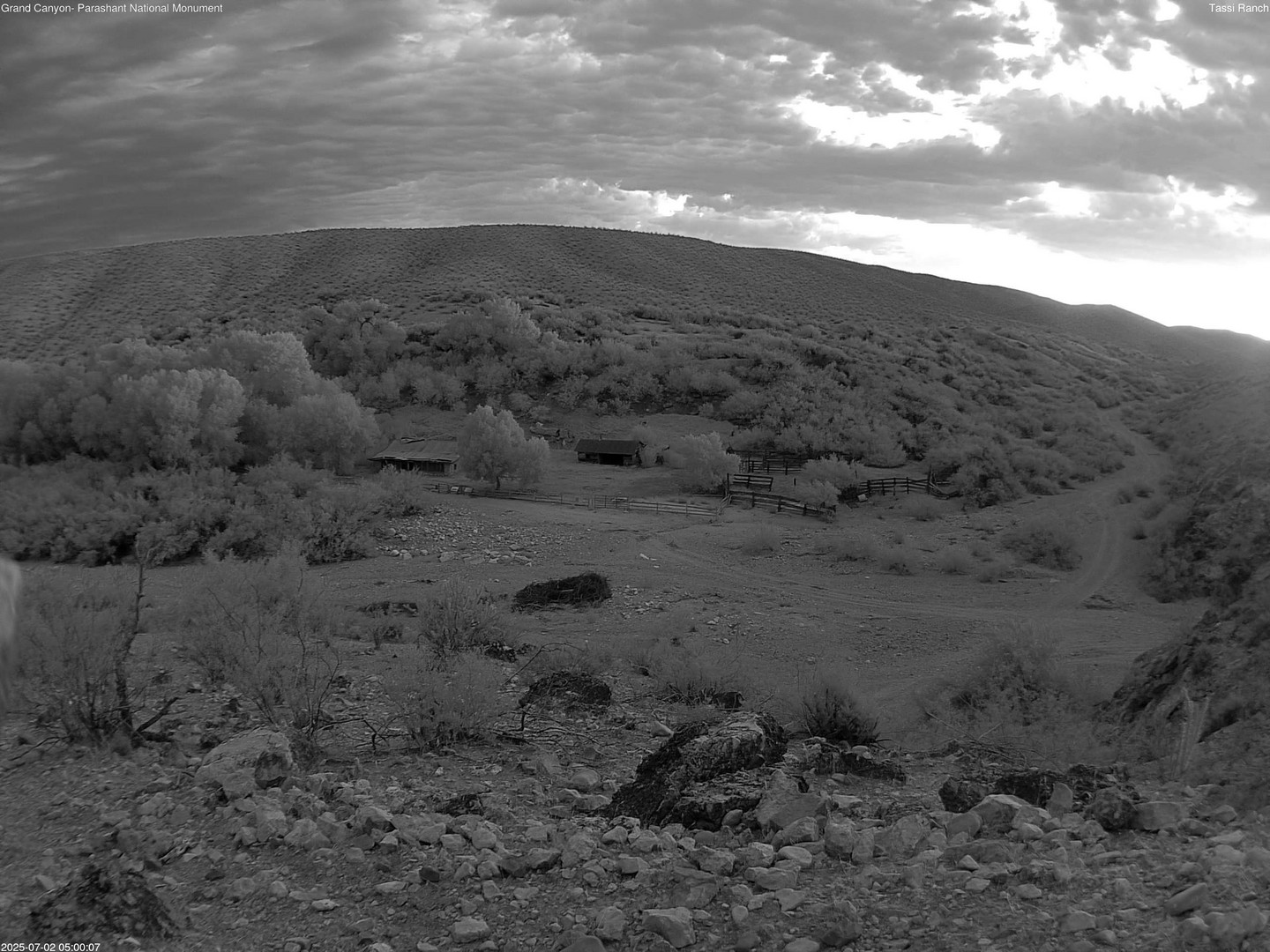 time-lapse frame, Tassi Ranch webcam