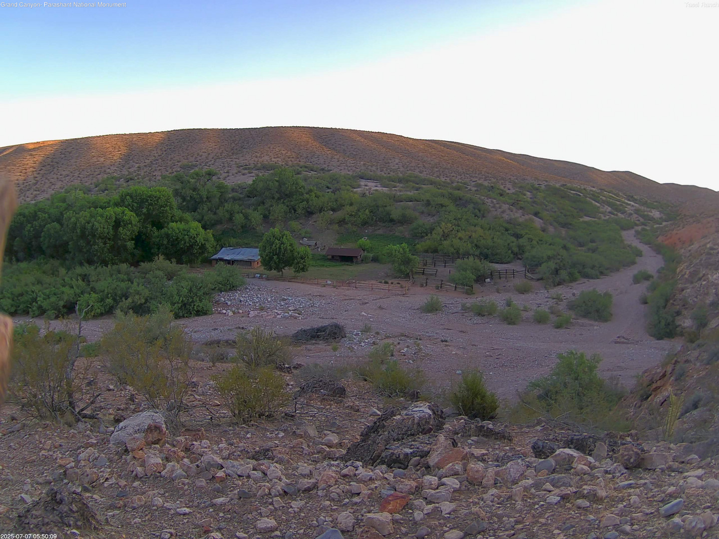 time-lapse frame, Tassi Ranch webcam