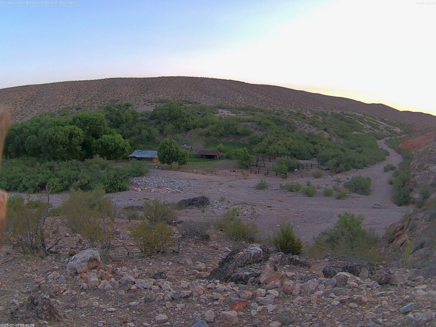 time-lapse frame, Tassi Ranch webcam