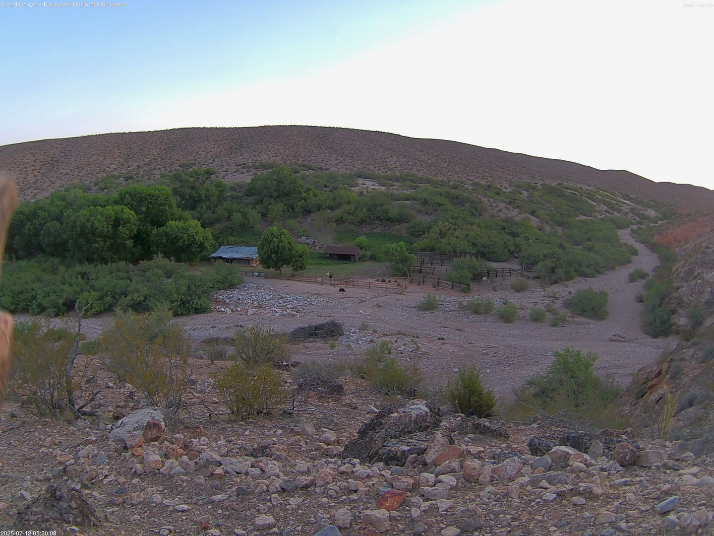 time-lapse frame, Tassi Ranch webcam