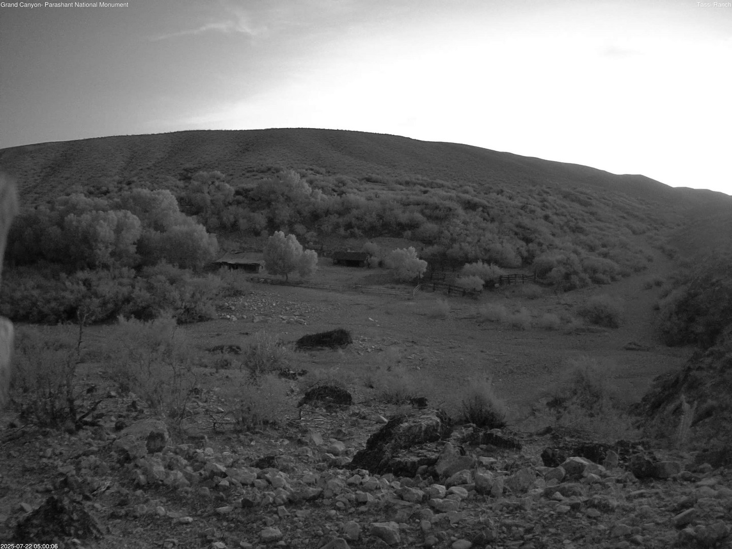 time-lapse frame, Tassi Ranch webcam