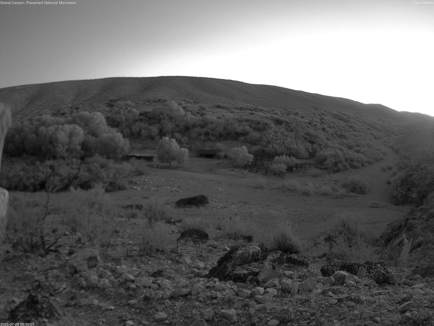 time-lapse frame, Tassi Ranch webcam