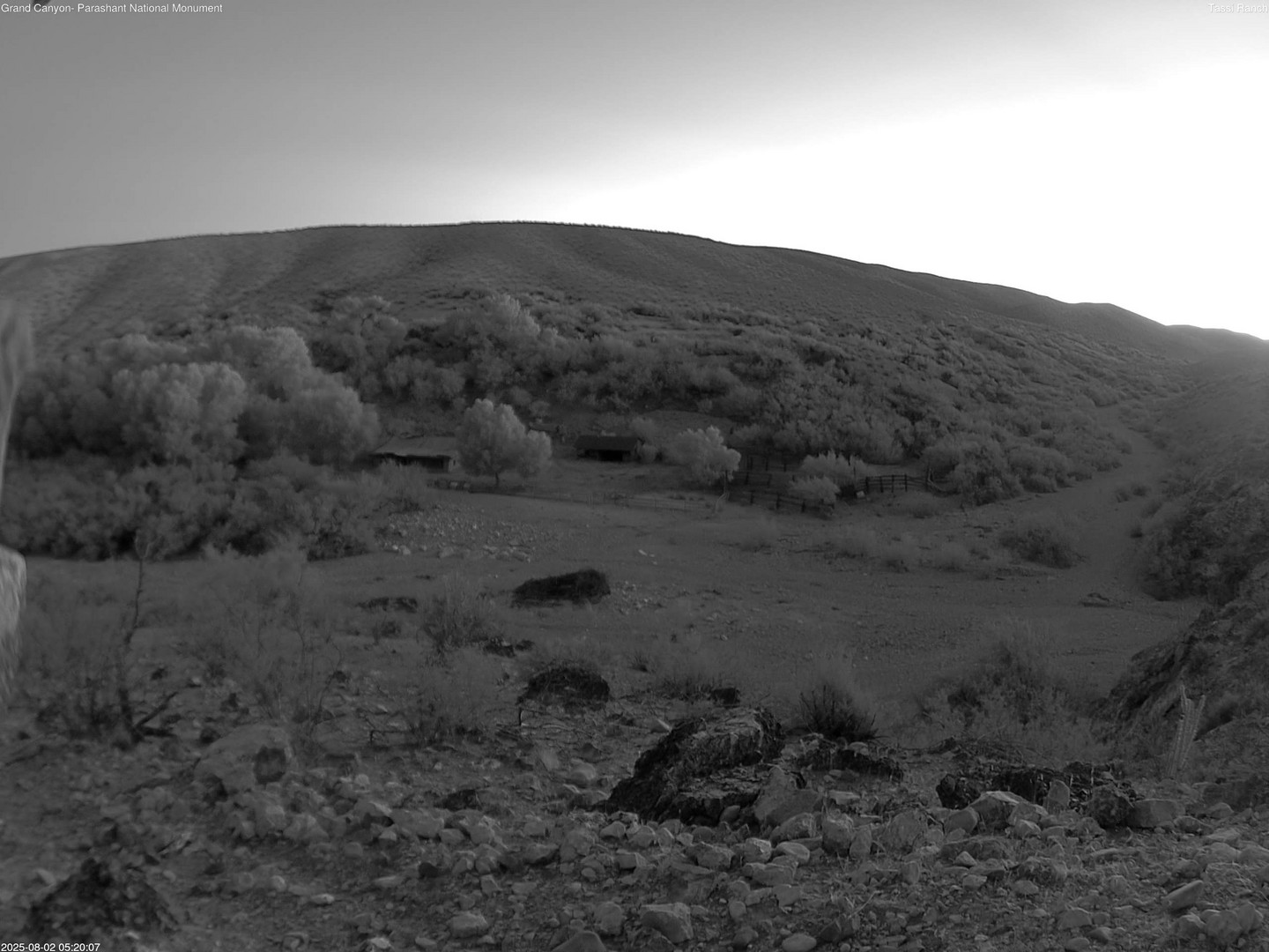 time-lapse frame, Tassi Ranch webcam