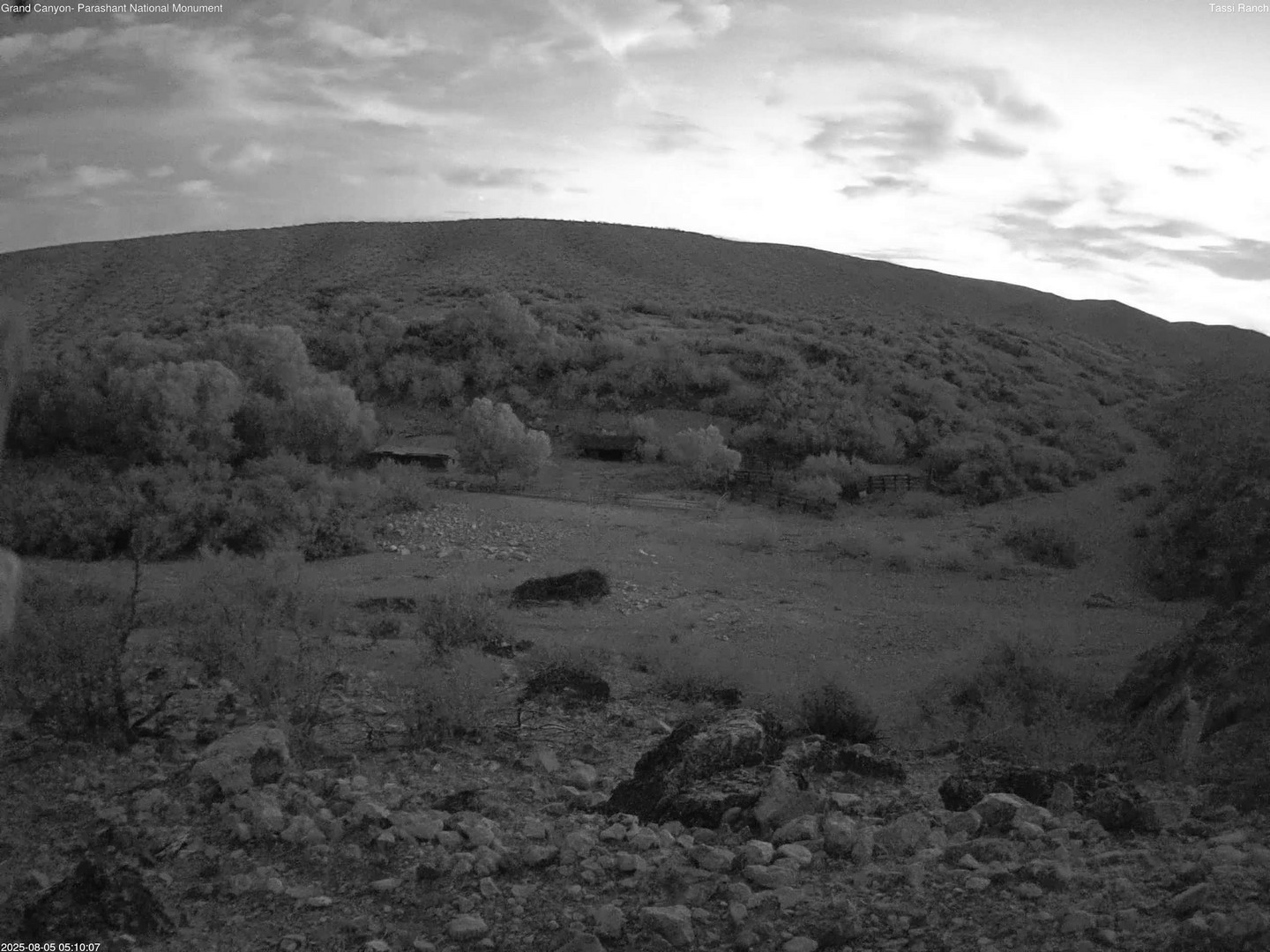time-lapse frame, Tassi Ranch webcam