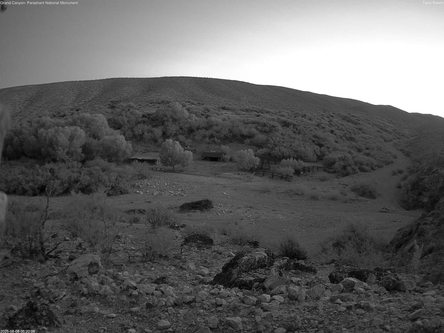 time-lapse frame, Tassi Ranch webcam