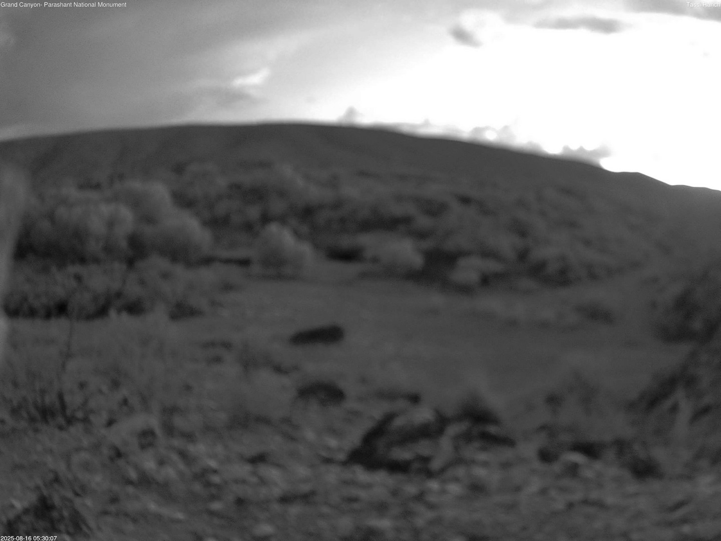time-lapse frame, Tassi Ranch webcam